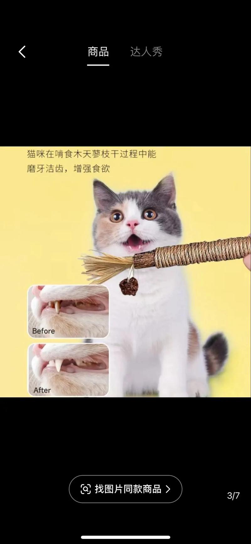 给猫咪磨牙用什么好