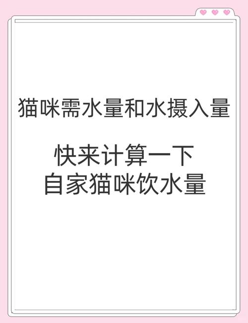 猫咪每天应该喝多少水?
