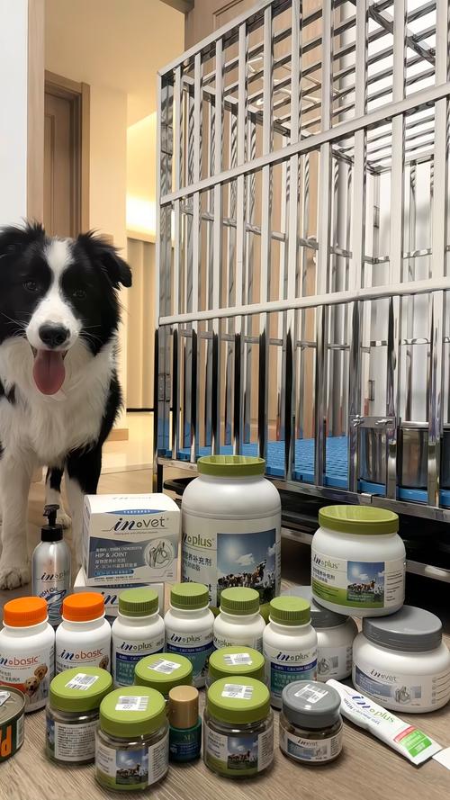 狗狗补钙吃哪个牌子好简单介绍四个品牌