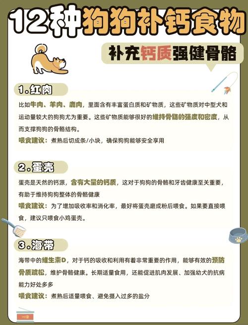 狗狗缺钙吃什么补钙比较好?