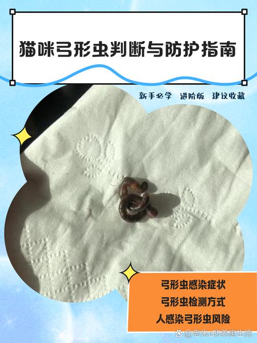 猫咪体内有寄生虫的症状是什么样的