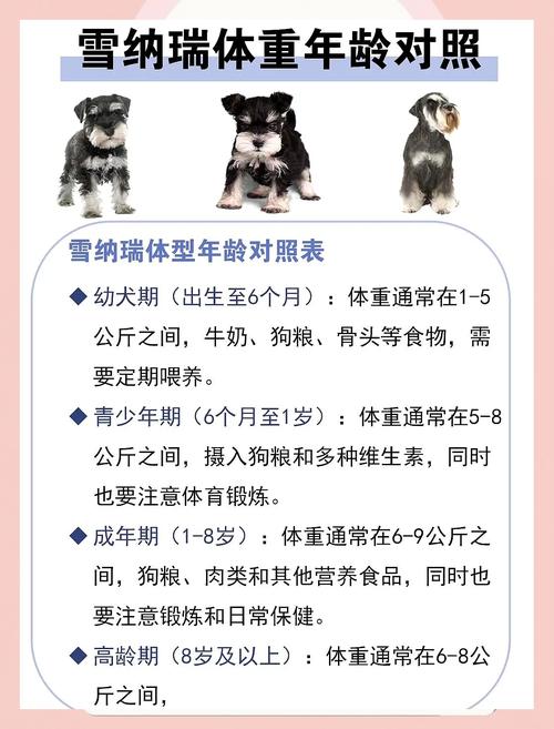 狗狗满月疫苗怎么打