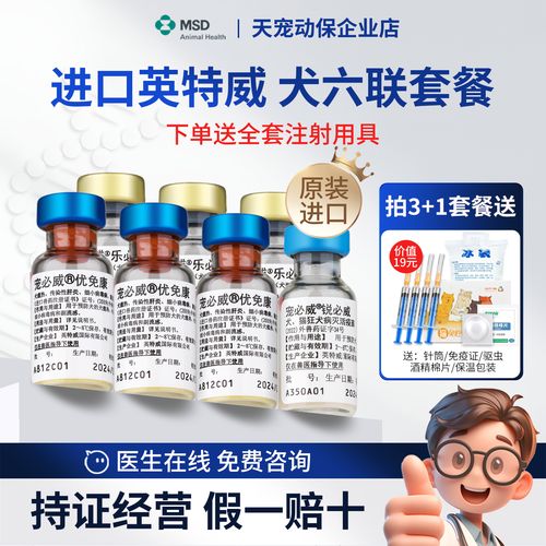 英特威六联一共几针