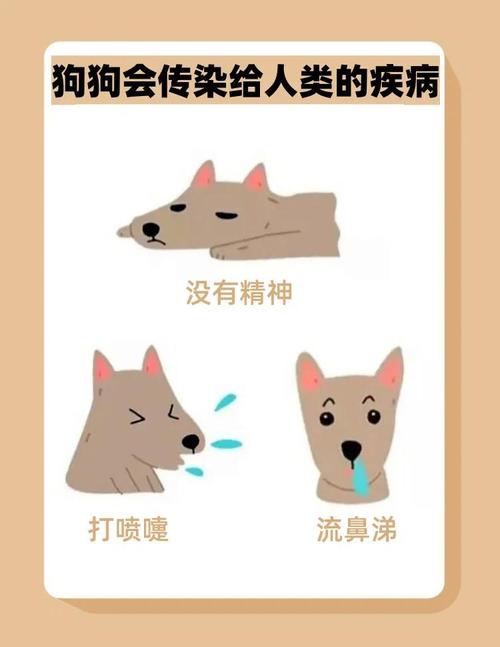 狗有癣人摸了会传染吗