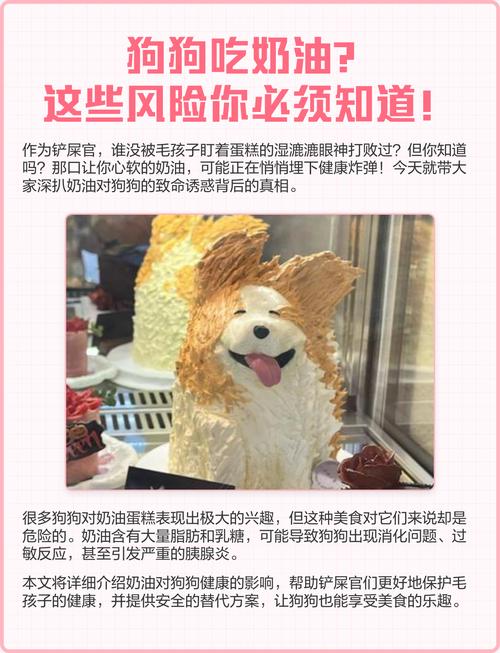 狗狗吃了奶油蛋糕怎么办