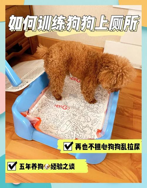 狗尿垫大概多久换一次