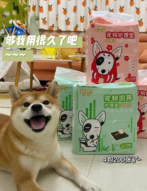 小狗尿垫多久换一次比较好