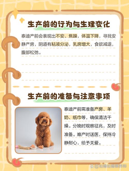 如何判断狗狗快要生了