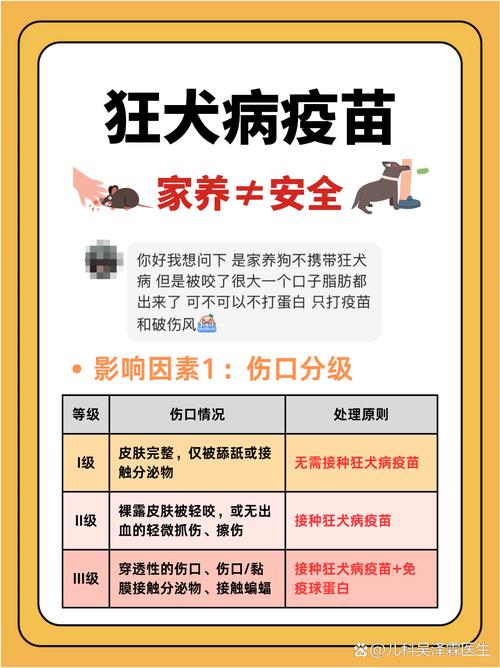 自家狗咬了要打针吗