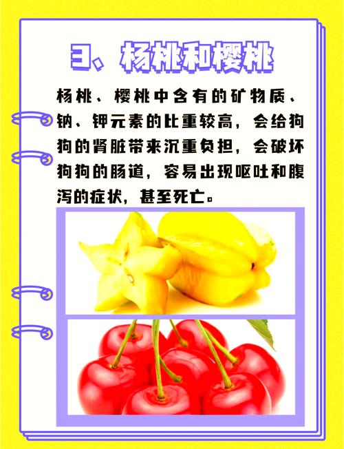 狗狗不能吃的食物,看这一篇就够啦