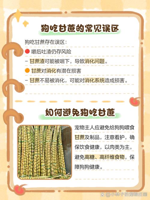为什么狗狗不能吃甘蔗?