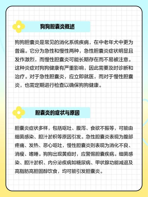 狗狗胆囊炎如何治疗