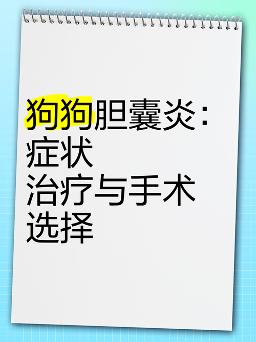 狗狗胆囊炎症状及治疗(狗狗胆囊炎怎么治疗)