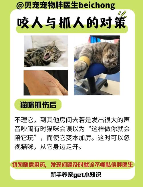 为什么有些猫主子会摸着摸着突然咬你一口?
