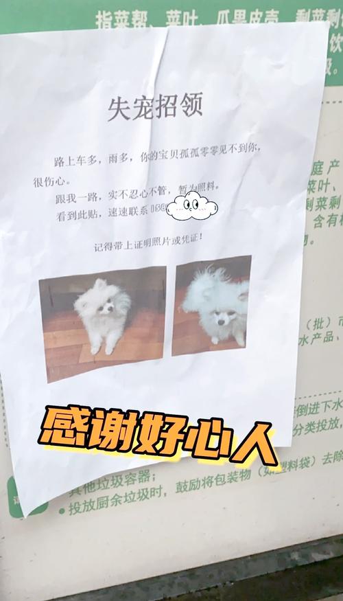 狗狗丢了,还找的回来吗?