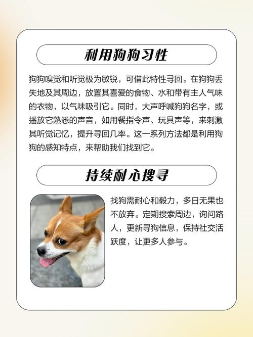 狗狗被打差点要了命,跑掉了,还会回来吗?