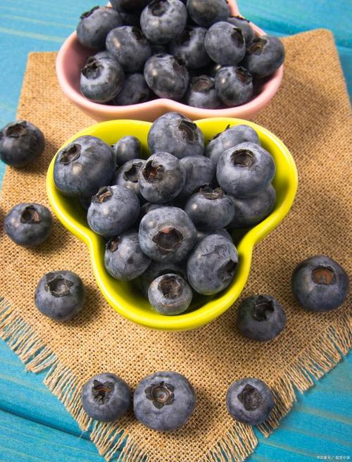 为什么不能给狗吃西梅