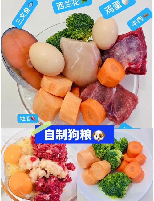 可以把生鸡肉给狗狗吃吗?