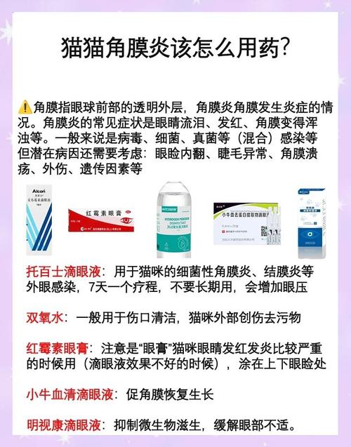 猫角膜炎症状怎么治需要用什么药