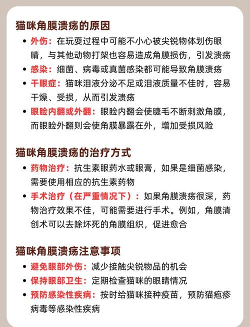 猫角膜炎怎么治疗,猫咪角膜炎的治疗方法