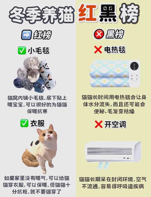 冬天应该如何给猫咪保暖!