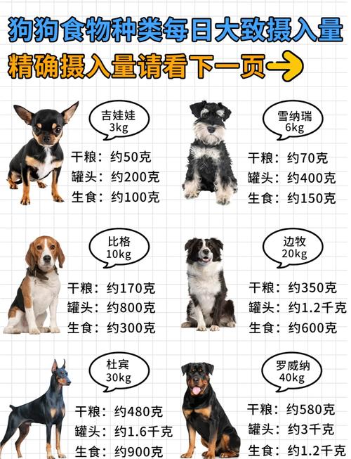 狗狗的饭量应该是多少比较正常呢?