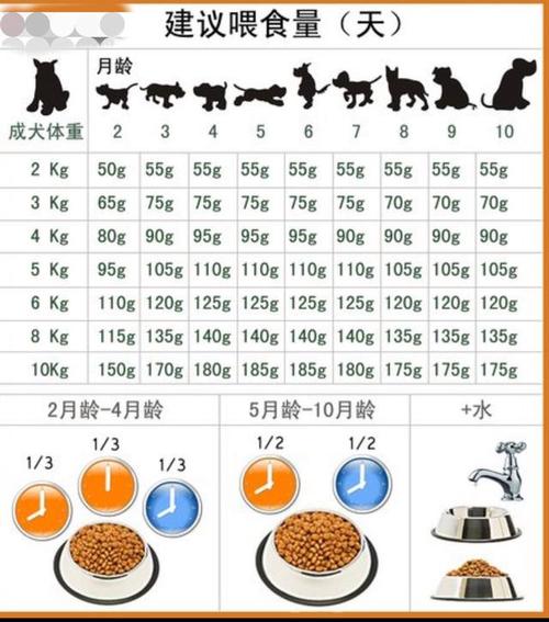 两个月大的小狗一顿吃多少饭量