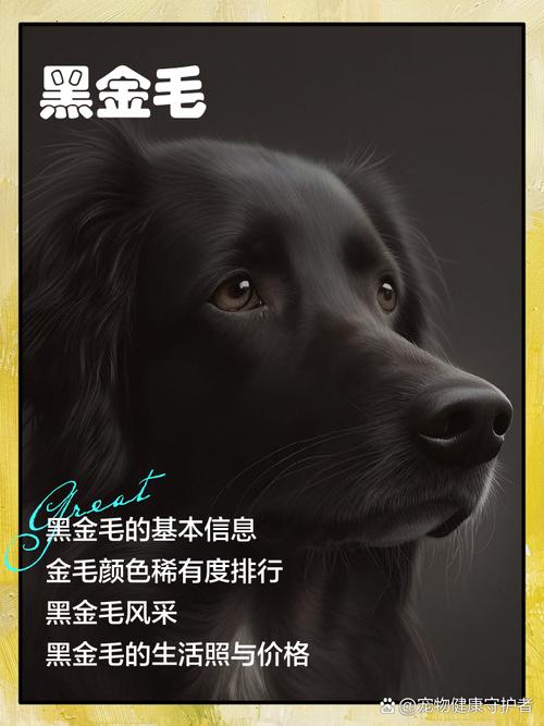 黑色狗狗名字大全