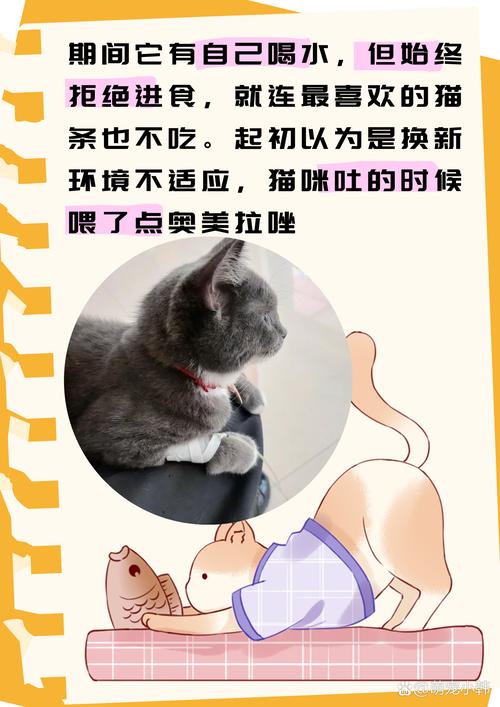 猫猫突然不吃平时喜欢的猫粮了,怎么回事?