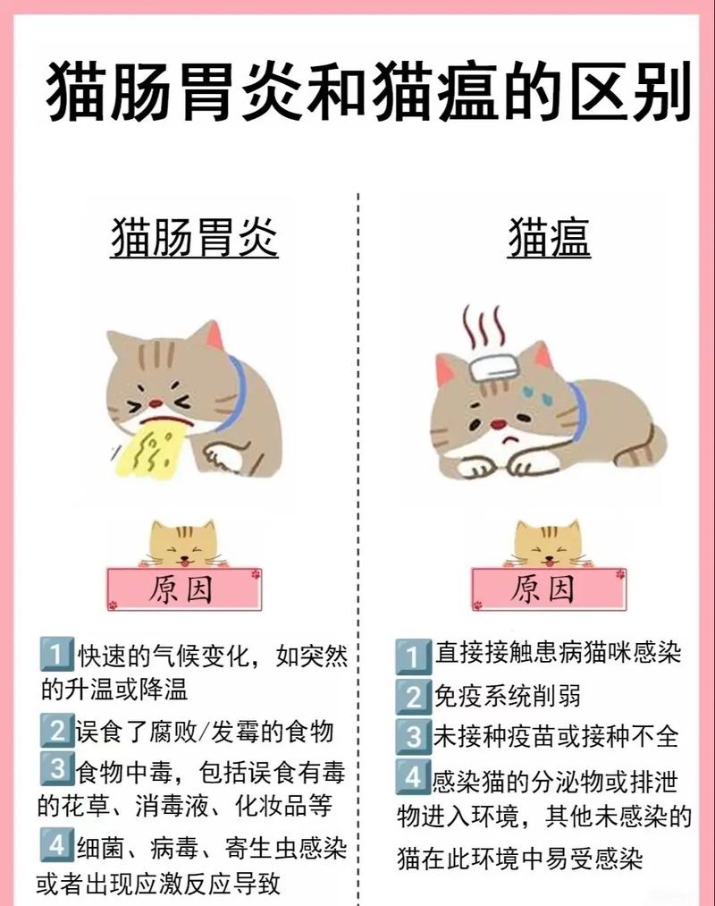 猫急性肠胃炎会致死吗