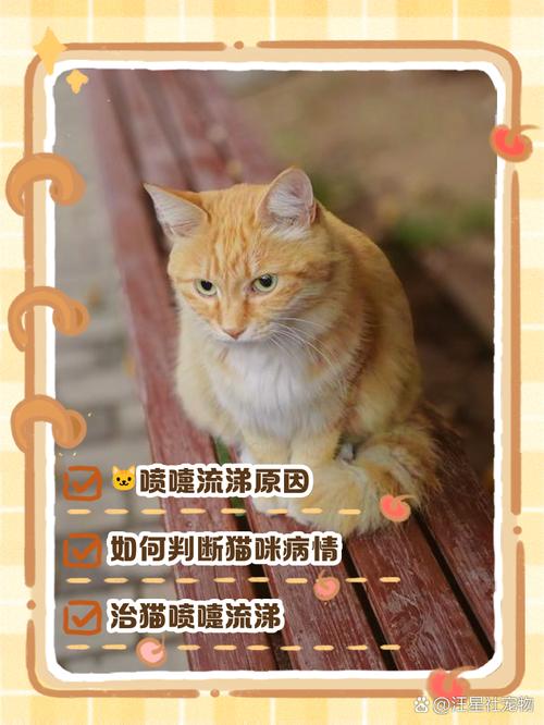 猫打喷嚏有鼻涕喷出来