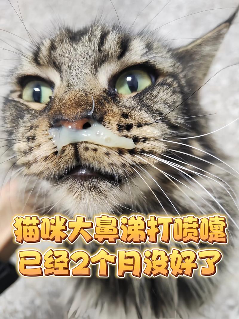 猫咪打喷嚏,咳嗽,流鼻涕