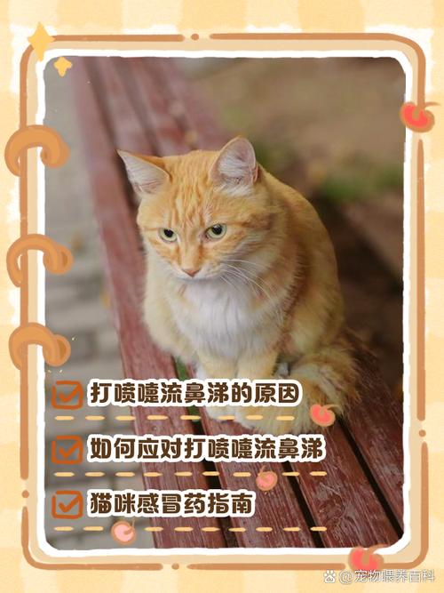猫流鼻涕打喷嚏该怎么办?