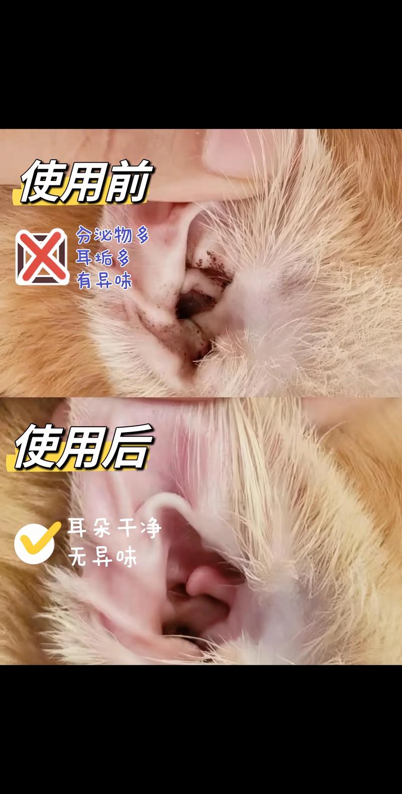 小博美丝杰的滴耳液用完了,不是很好用啊,想换个牌子.