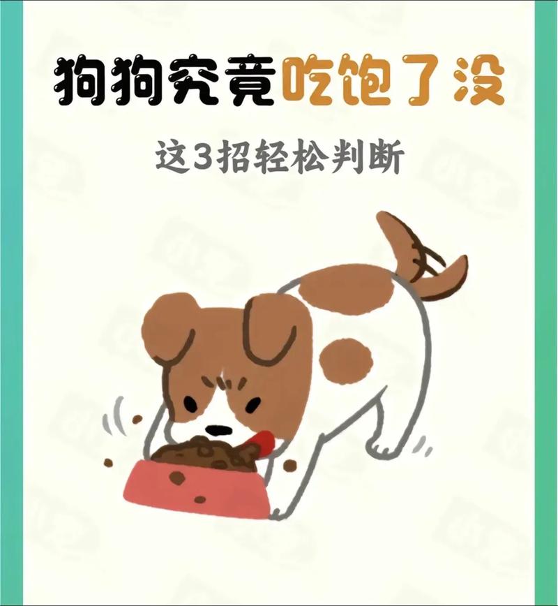 怎么判断狗狗吃饱了没