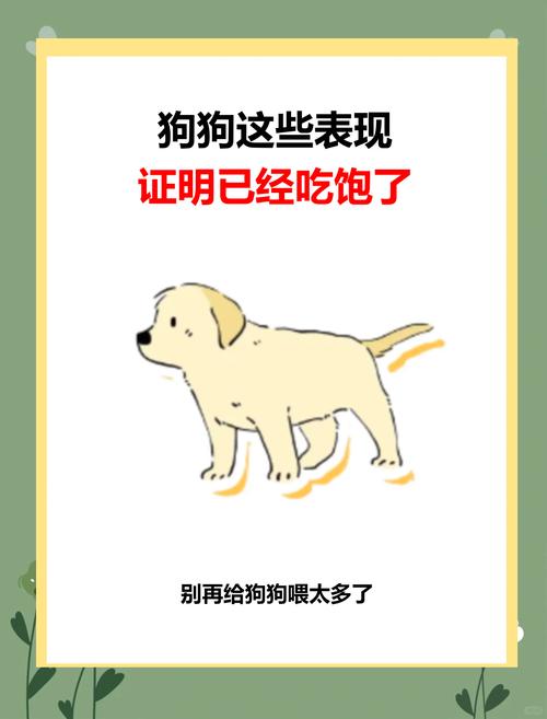 如何判断狗狗是否吃饱以及饲喂时间?