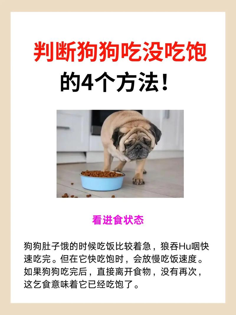 怎么知道狗狗有没有吃饱?