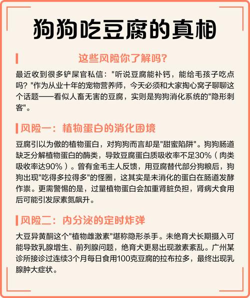 狗狗为什么不能吃大豆腐