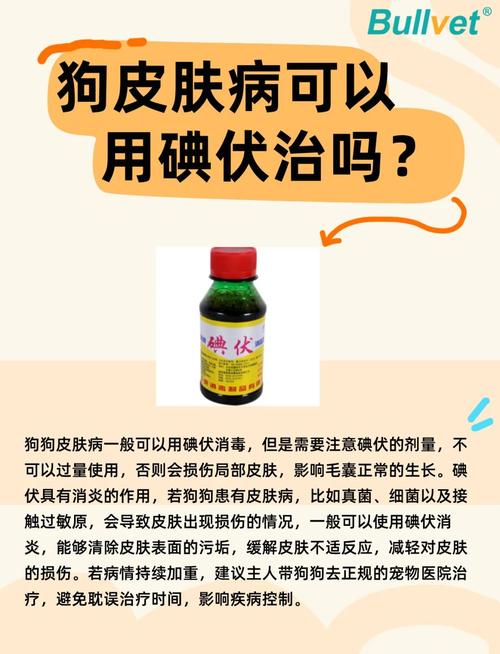 狗狗可以用碘伏消毒吗
