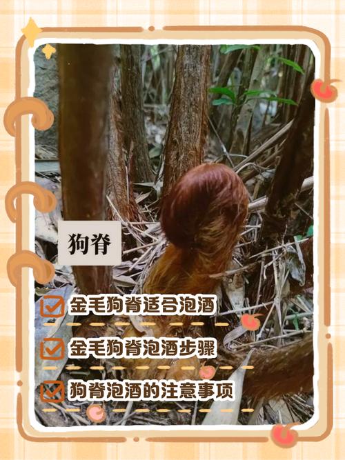 家里狗味太重怎么办?教你4招,快速去除异味!