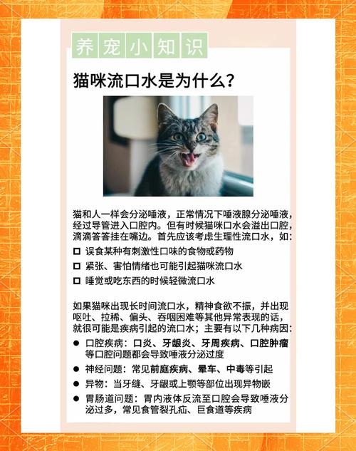 猫咪睡觉流口水怎么办?