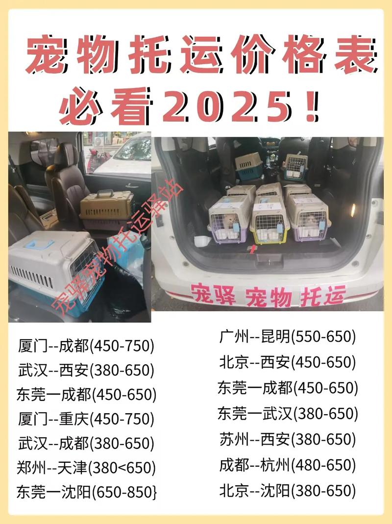 宠物狗可以寄快递吗,要怎么寄呢?