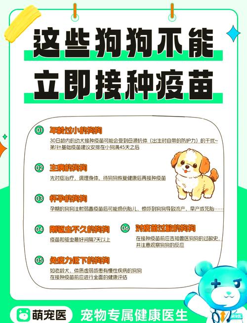 狗狗打完疫苗的注意事项