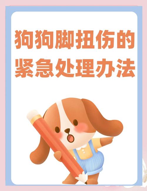 狗狗脚扭到了!急急!