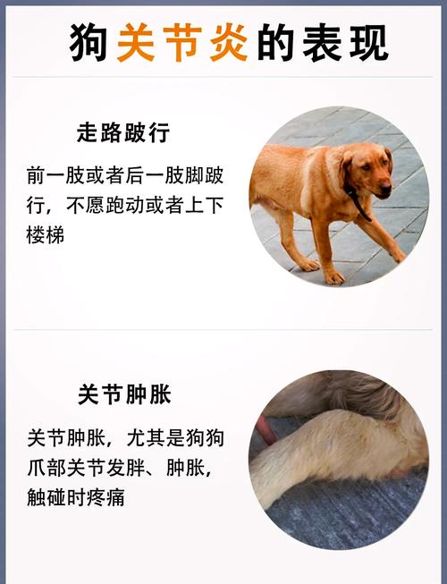 狗狗脚崴了怎么办?
