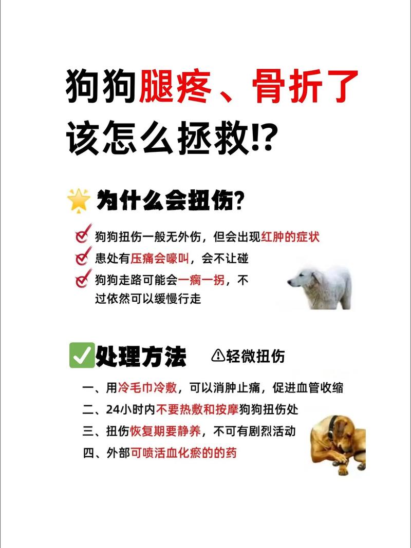 狗狗脚扭伤了怎么办