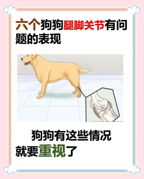 宠物狗狗脚扭伤怎么办?