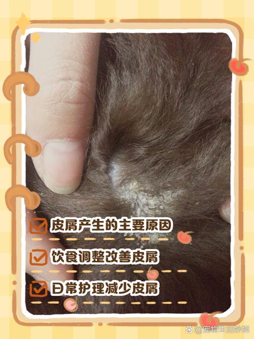 狗狗身上有皮屑怎么办?