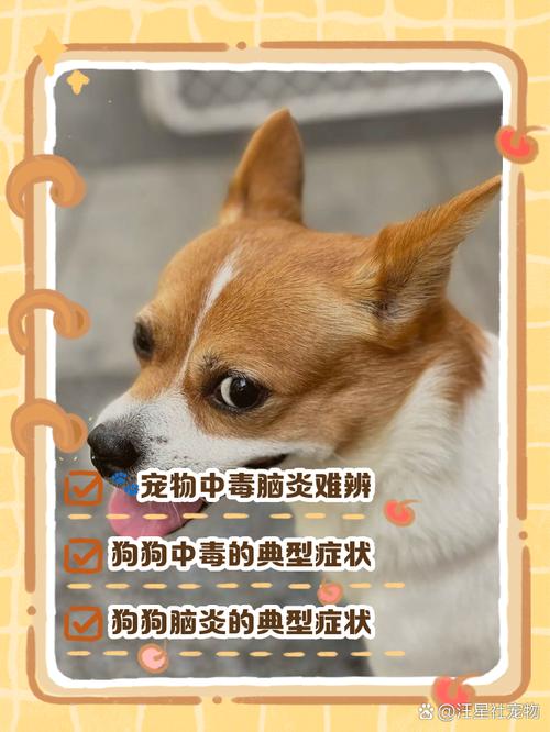 狗狗脑炎的症状有哪些?