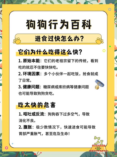 比熊狗吃东西吃得太快了怎么办?
